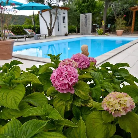 Saranda Daire *