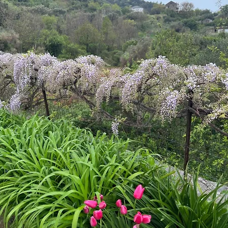 Saranda Supetarska Draga