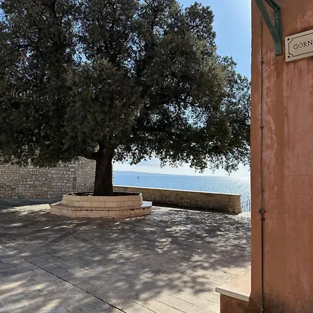 Saranda Daire Supetarska Draga