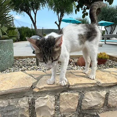 Saranda *