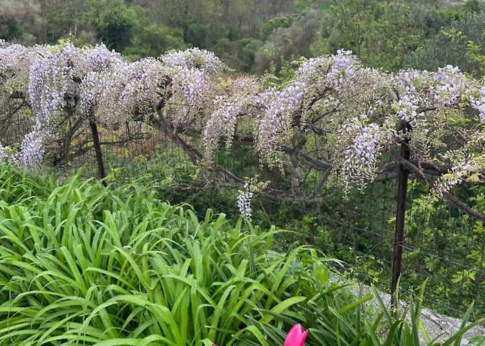 Saranda Supetarska Draga